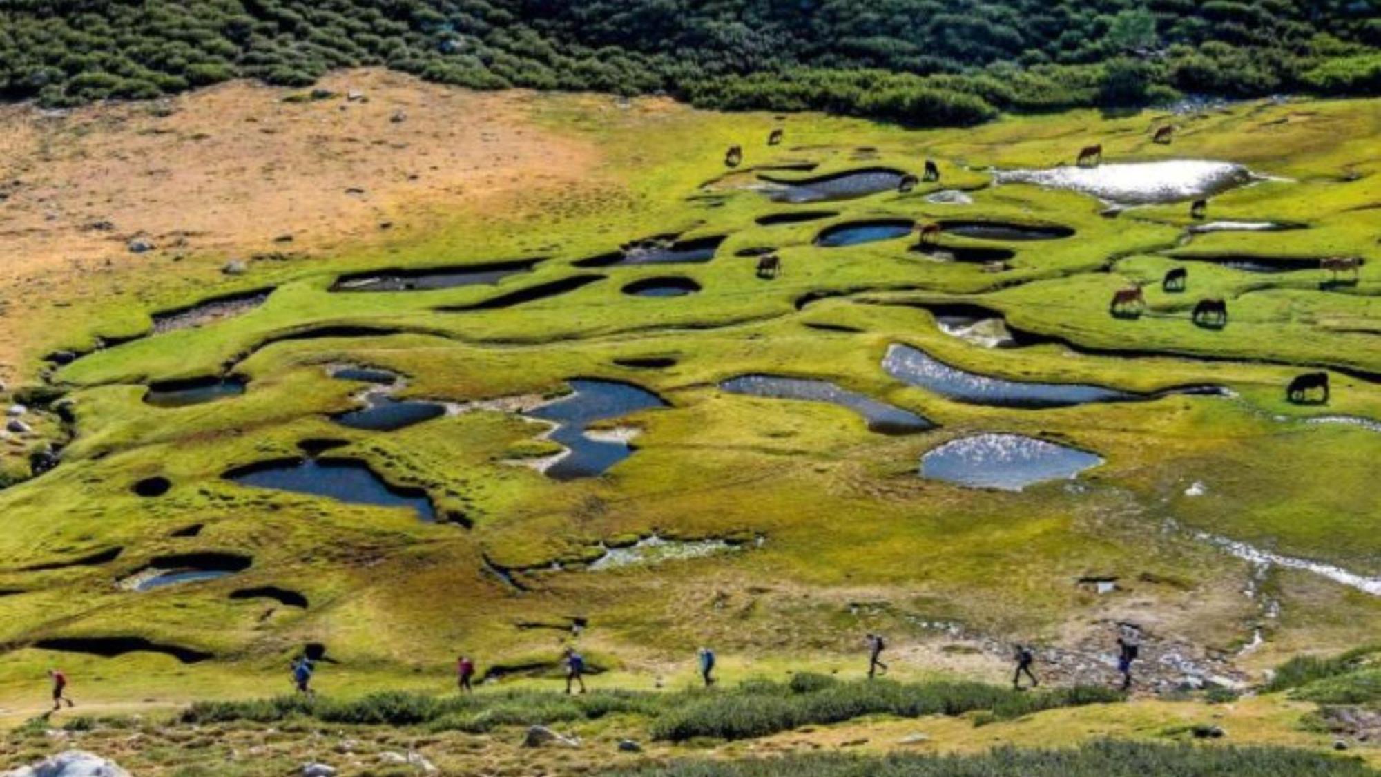 Domaine Le Mouflon D'Or Otel Zonza Dış mekan fotoğraf