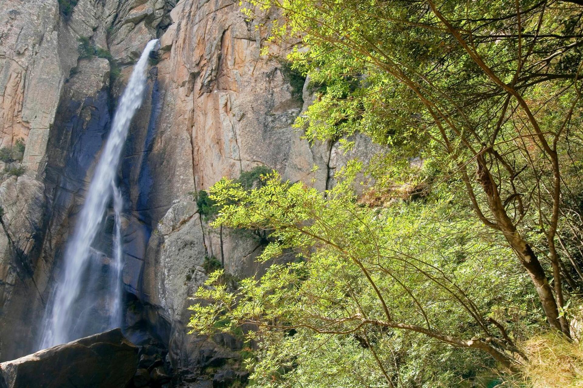 Domaine Le Mouflon D'Or Otel Zonza Dış mekan fotoğraf