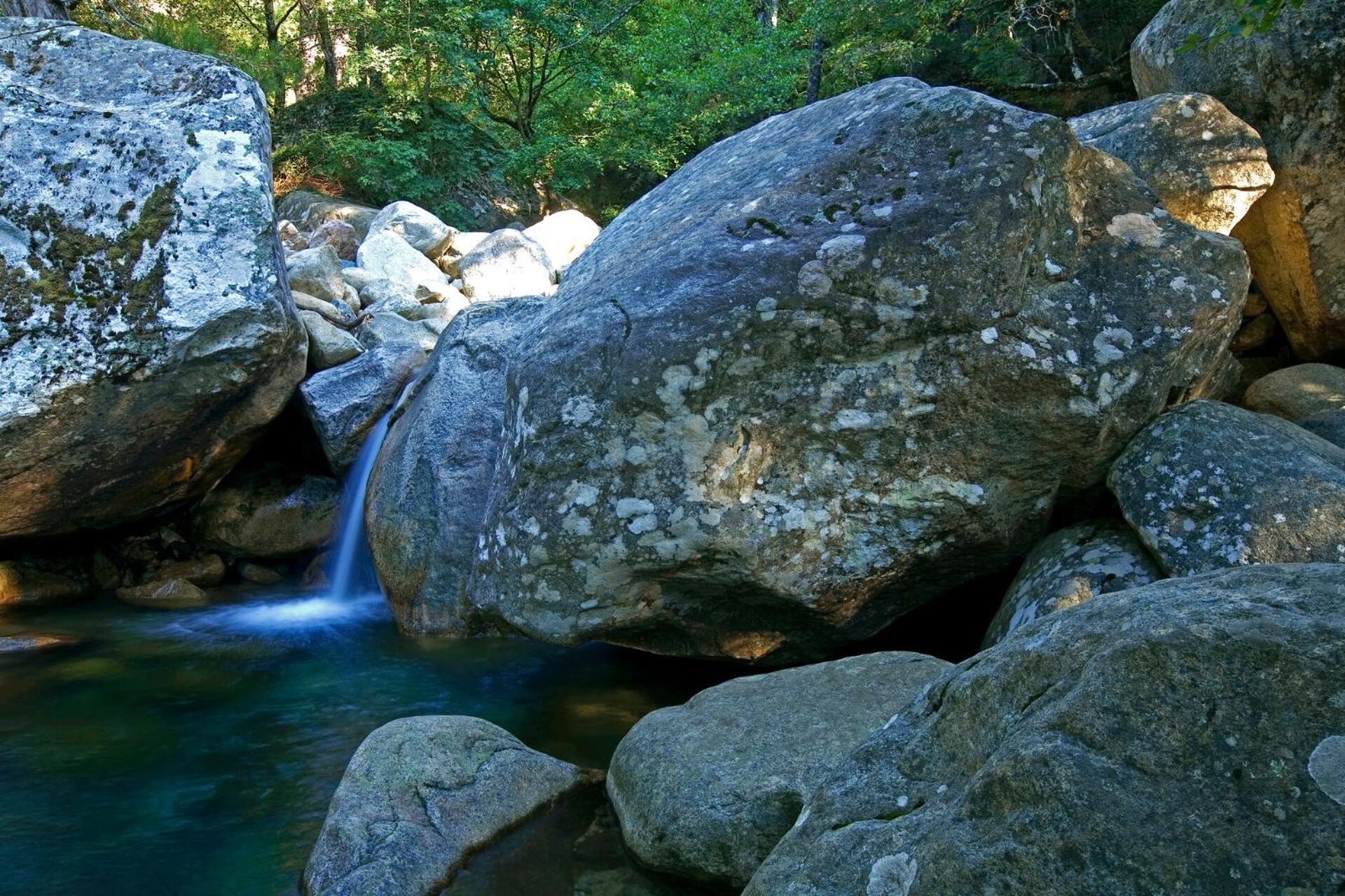 Domaine Le Mouflon D'Or Otel Zonza Dış mekan fotoğraf