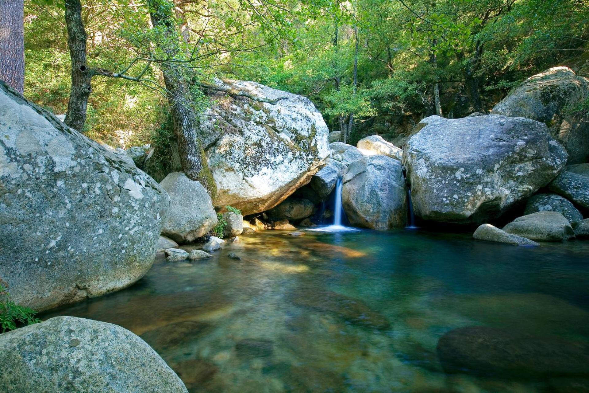 Domaine Le Mouflon D'Or Otel Zonza Dış mekan fotoğraf