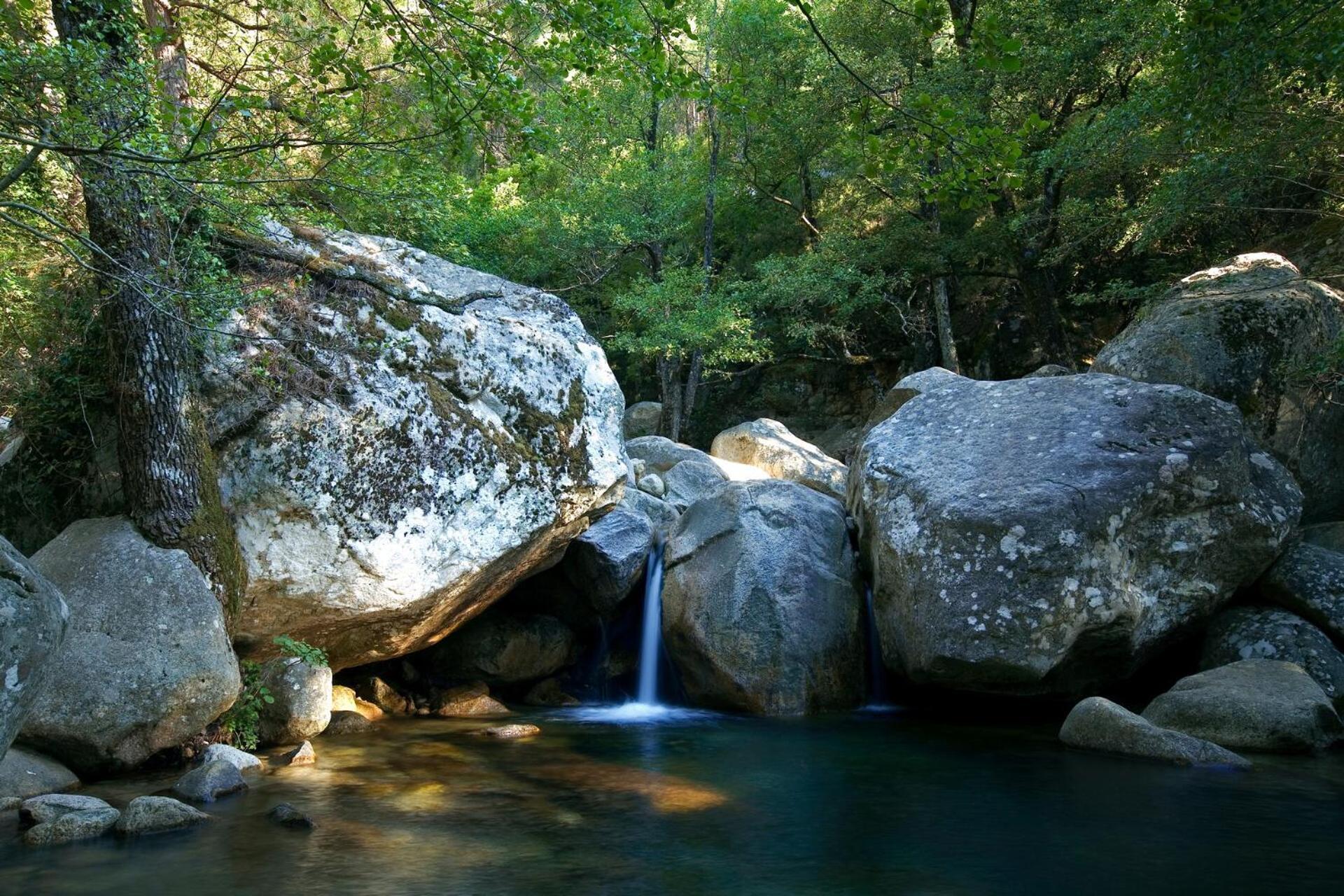 Domaine Le Mouflon D'Or Otel Zonza Dış mekan fotoğraf
